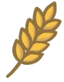 Allergia glutine grano